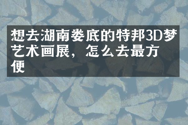想去湖南娄底的特邦3D梦幻艺术画展，怎么去最方便