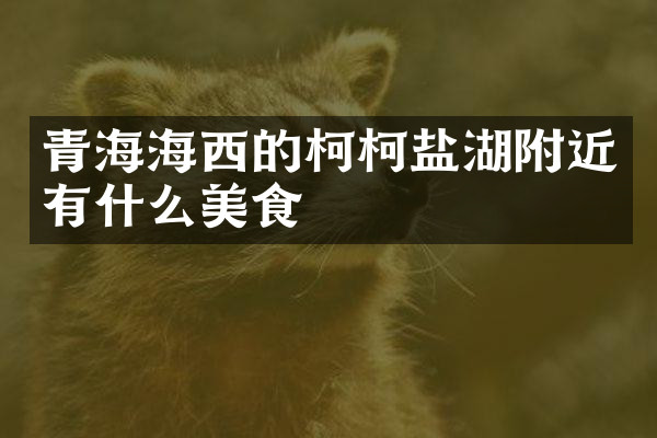 青海海西的柯柯盐湖附近有什么美食