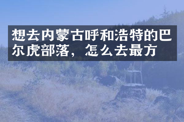 想去内蒙古呼和浩特的巴尔虎部落，怎么去最方便