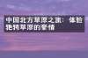 中国北方草原之旅：体验驰骋草原的豪情