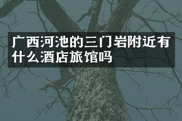 广西河池的三门岩附近有什么酒店旅馆吗