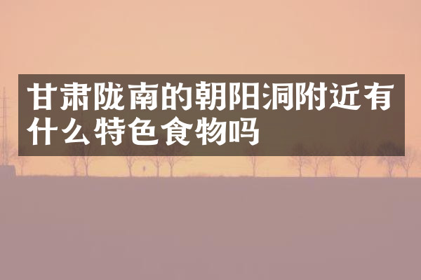 甘肃陇南的朝阳洞附近有什么特色食物吗