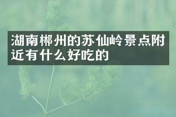 湖南郴州的苏仙岭景点附近有什么好吃的