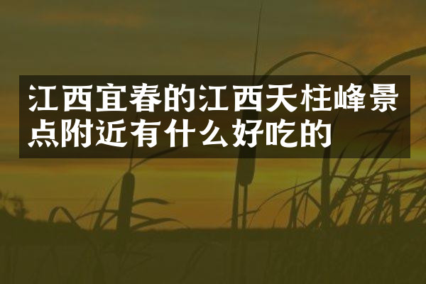 江西宜春的江西天柱峰景点附近有什么好吃的