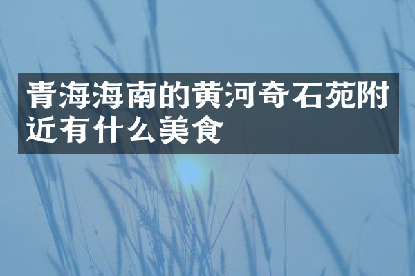 青海海南的黄河奇石苑附近有什么美食