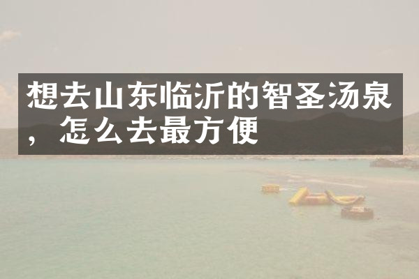 想去山东临沂的智圣汤泉，怎么去最方便