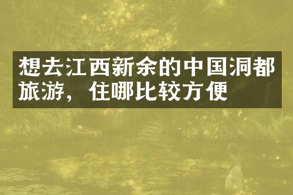 想去江西新余的中国洞都旅游，住哪比较方便