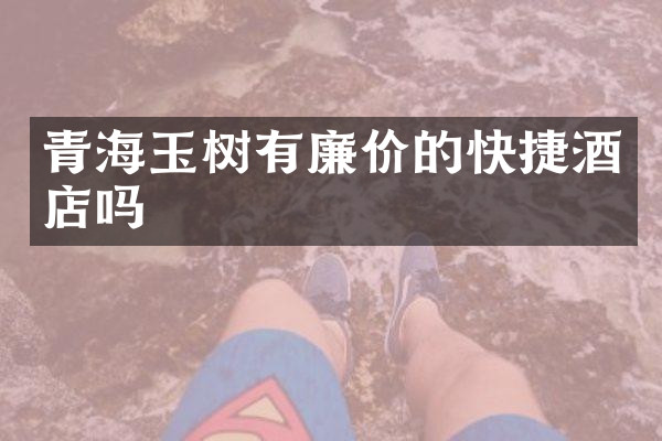 青海玉树有廉价的快捷酒店吗