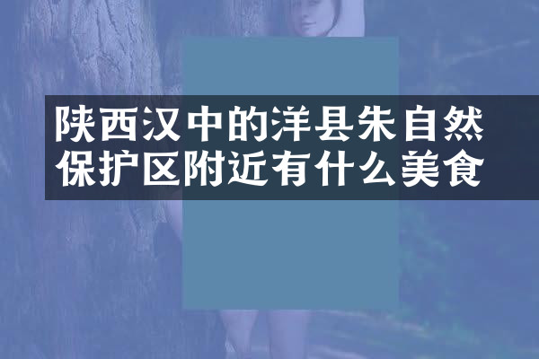 陕西汉中的洋县朱鹮自然保护区附近有什么美食