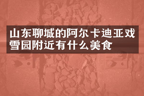 山东聊城的阿尔卡迪亚戏雪园附近有什么美食