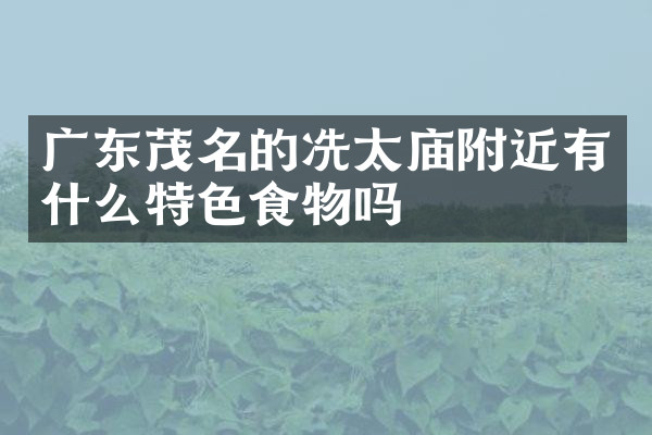 广东茂名的冼太庙附近有什么特色食物吗