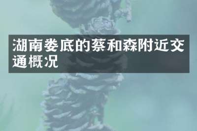 湖南娄底的蔡和森附近交通概况