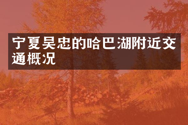 宁夏吴忠的哈巴湖附近交通概况