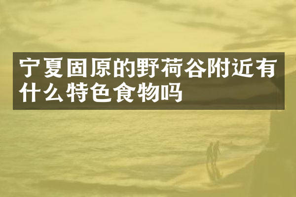 宁夏固原的野荷谷附近有什么特色食物吗