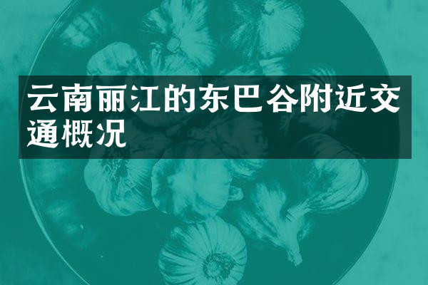 云南丽江的东巴谷附近交通概况