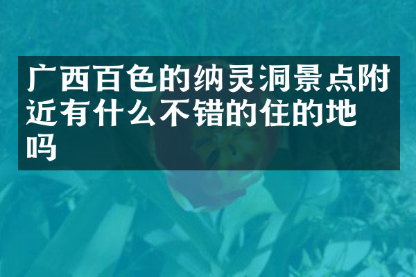 广西百色的纳灵洞景点附近有什么不错的住的地方吗