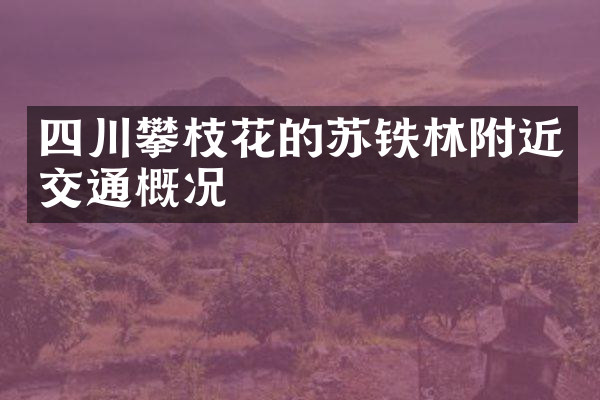 四川攀枝花的苏铁林附近交通概况