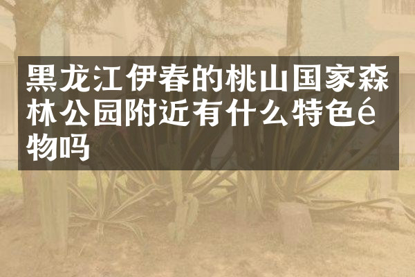 黑龙江伊春的桃山国家森林公园附近有什么特色食物吗