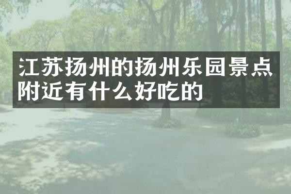 江苏扬州的扬州乐园景点附近有什么好吃的
