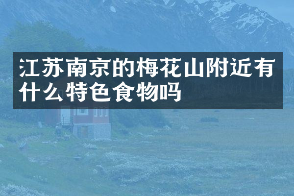 江苏南京的梅花山附近有什么特色食物吗