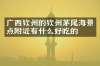 广西钦州的钦州茅尾海景点附近有什么好吃的