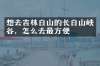 想去吉林白山的长白山峡谷，怎么去最方便