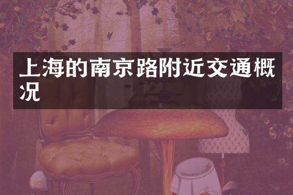 上海的南京路附近交通概况