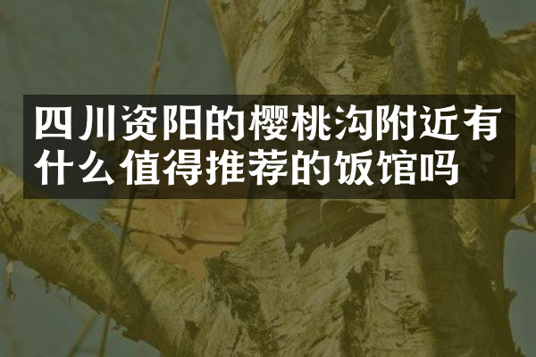 四川资阳的樱桃沟附近有什么值得推荐的饭馆吗