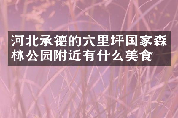 河北承德的六里坪国家森林公园附近有什么美食