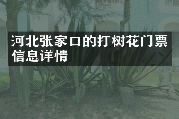 河北张家口的打树花门票信息详情