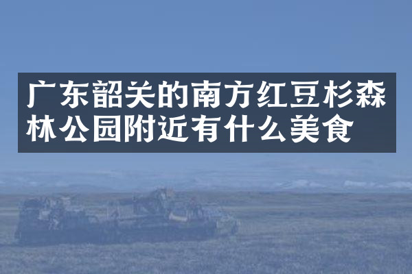 广东韶关的南方红豆杉森林公园附近有什么美食