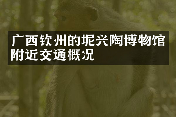 广西钦州的坭兴陶博物馆附近交通概况