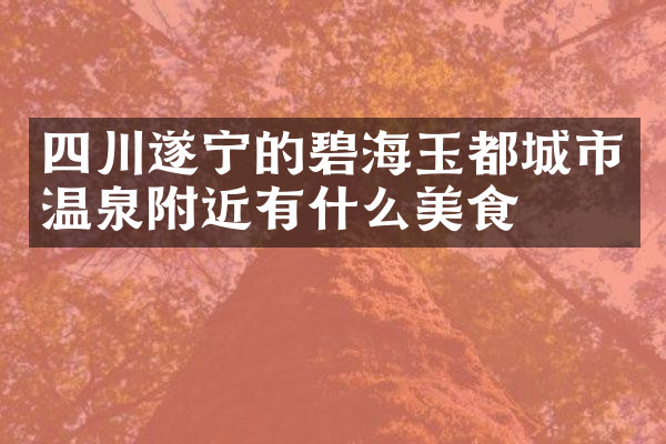 四川遂宁的碧海玉都城市温泉附近有什么美食