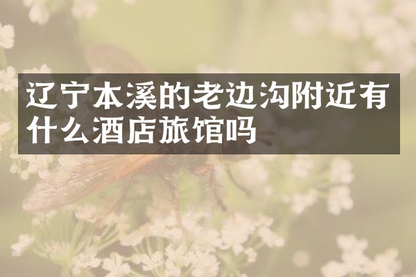 辽宁本溪的老边沟附近有什么酒店旅馆吗