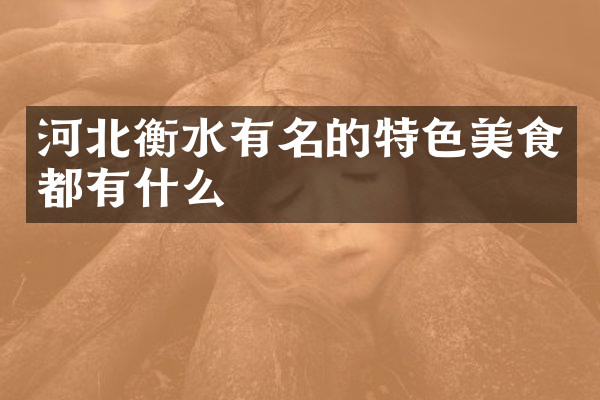 河北衡水有名的特色美食都有什么