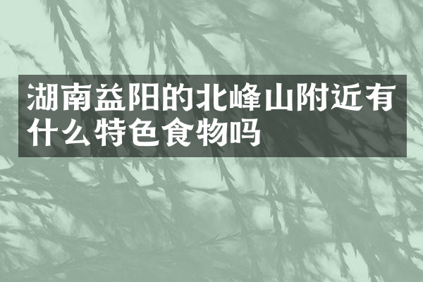 湖南益阳的北峰山附近有什么特色食物吗
