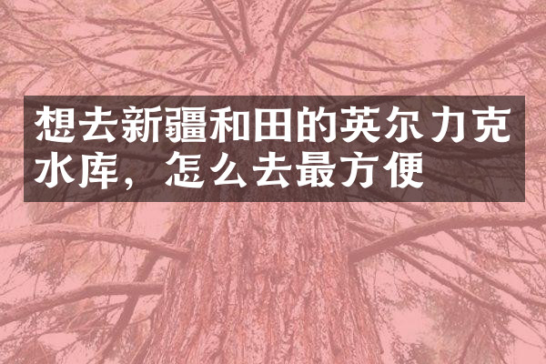 想去新疆和田的英尔力克水库，怎么去最方便