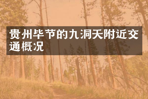 贵州毕节的九洞天附近交通概况