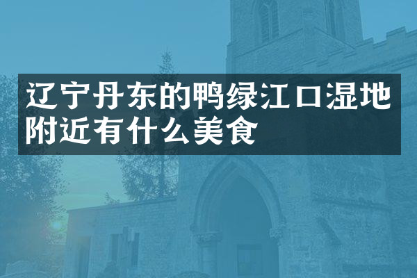 辽宁丹东的鸭绿江口湿地附近有什么美食