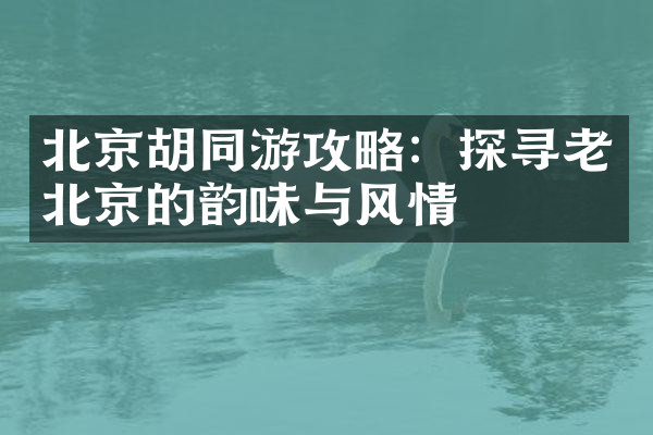 北京胡同游攻略：探寻老北京的韵味与风情