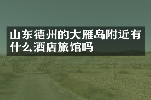 山东德州的大雁岛附近有什么酒店旅馆吗