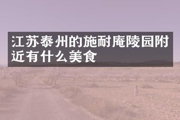 江苏泰州的施耐庵陵园附近有什么美食