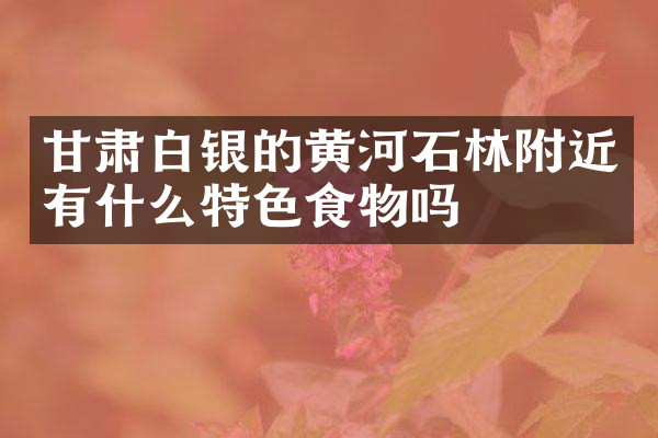 甘肃白银的黄河石林附近有什么特色食物吗