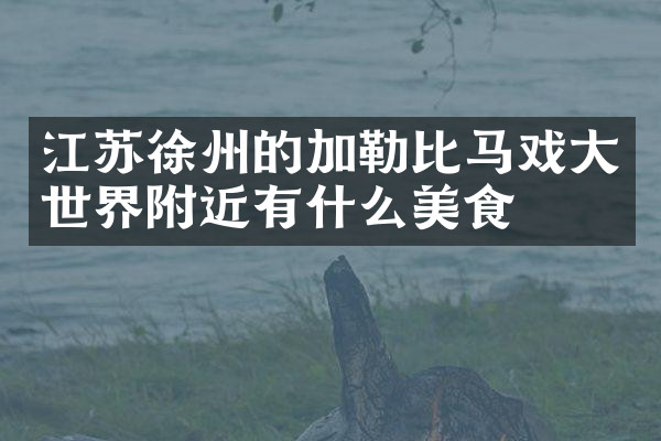 江苏徐州的加勒比马戏大世界附近有什么美食