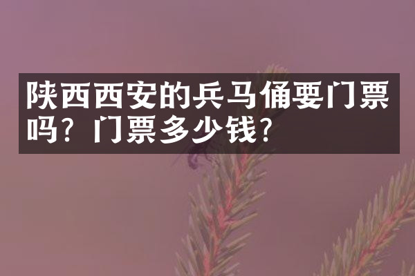 陕西西安的兵马俑要门票吗？门票多少钱？