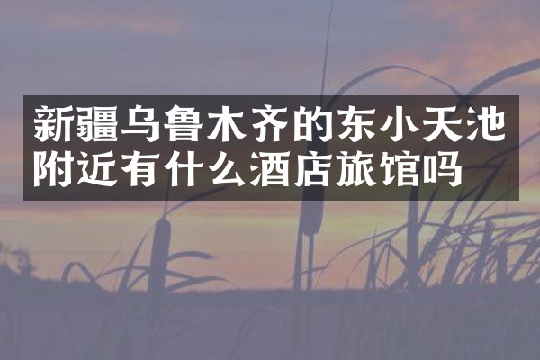 新疆乌鲁木齐的东小天池附近有什么酒店旅馆吗