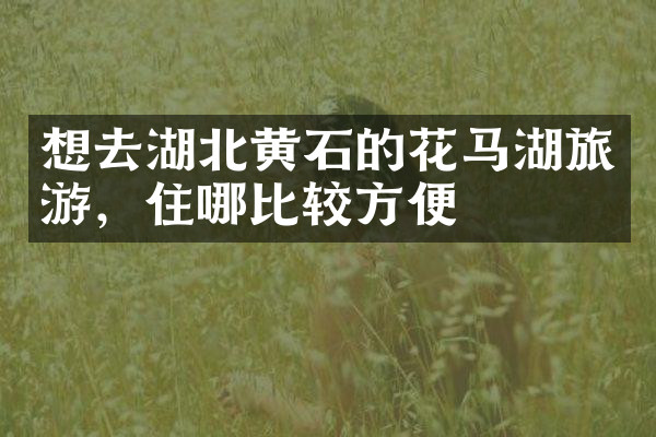 想去湖北黄石的花马湖旅游，住哪比较方便
