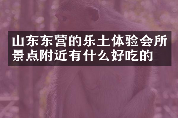 山东东营的乐土体验会所景点附近有什么好吃的
