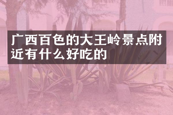 广西百色的大王岭景点附近有什么好吃的