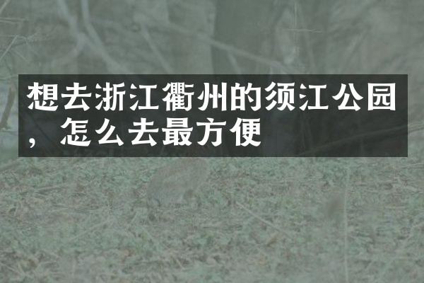 想去浙江衢州的须江公园，怎么去最方便